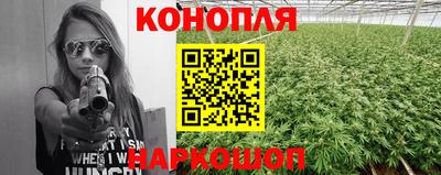 прущие крисы Краснодар